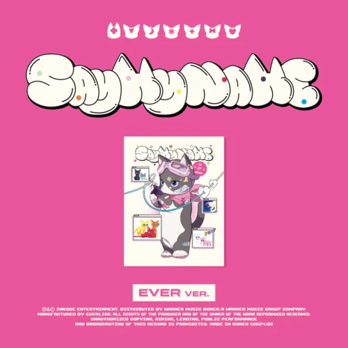 SAY MY NAME - SAY MY NAME (EVER MUSIC ALBUM)