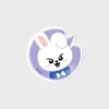 [Stray Kids X SLBS] SKZOO NFC Theme Tok