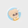[Stray Kids X SLBS] SKZOO NFC Theme Tok
