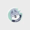 [Stray Kids X SLBS] SKZOO NFC Theme Tok