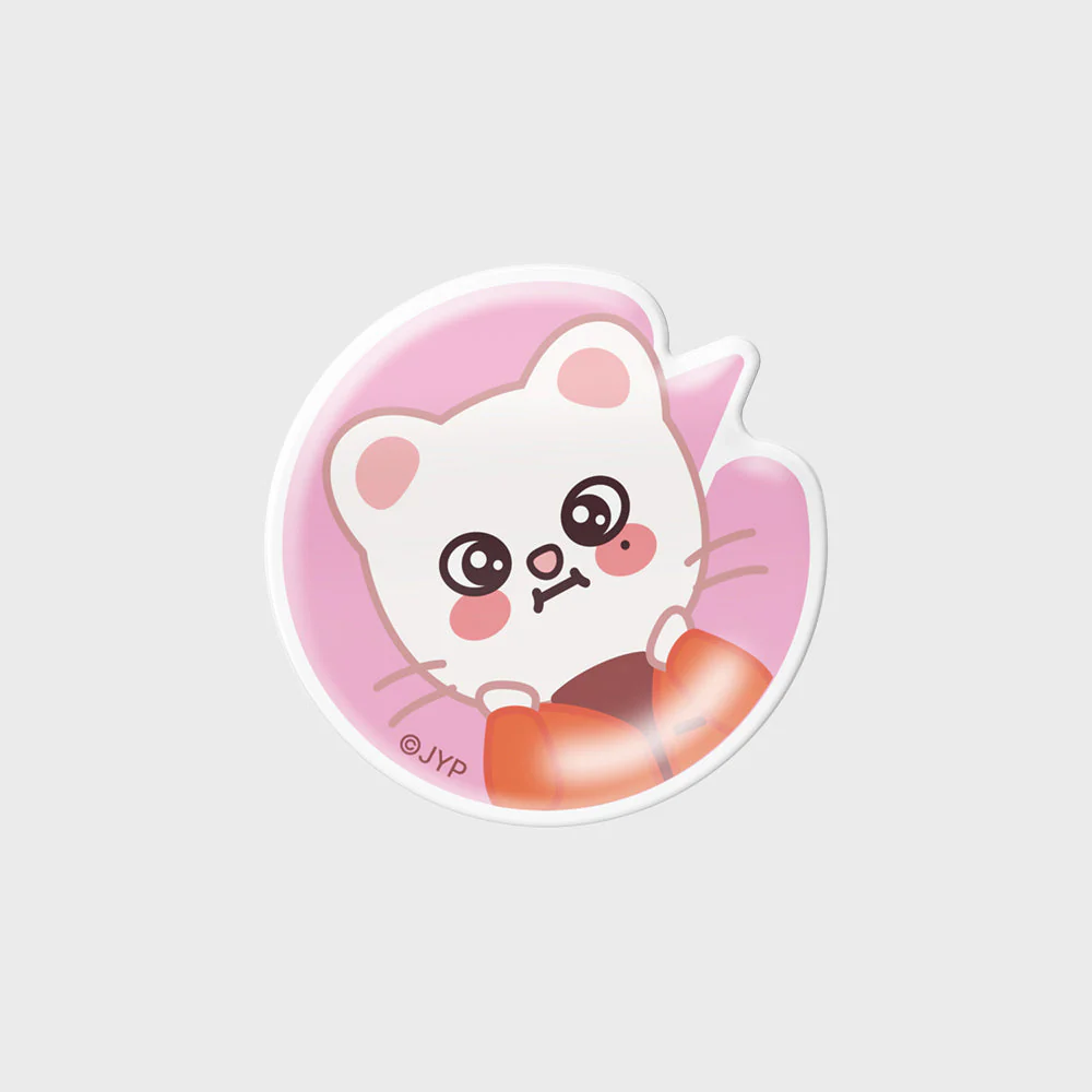 [Stray Kids X SLBS] SKZOO NFC Theme Tok